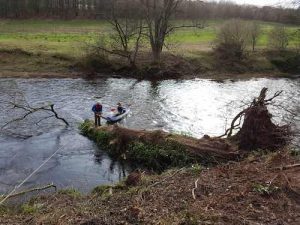 24 hour call out DL Corran Tree Surgeons Usk