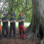D L Corran Tree Surgeons Abergavenny - About Us