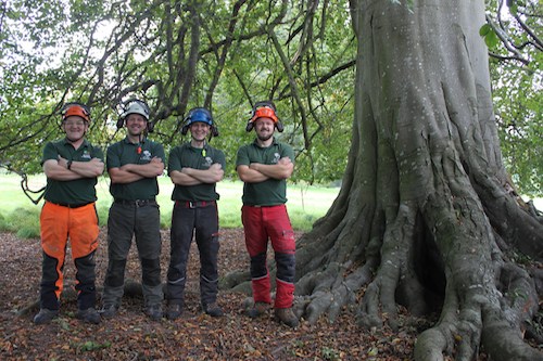 D L Corran Tree Surgeons Abergavenny - About Us