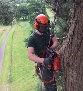 DL Corran Tree Surgery Services Abergavenny