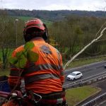 Motorway Maintenance D L Corran Tree Surgeons Monmouth