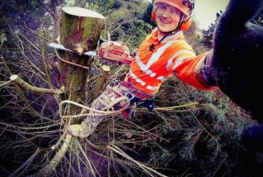 Allan Corran D L Corran Tree Surgeons